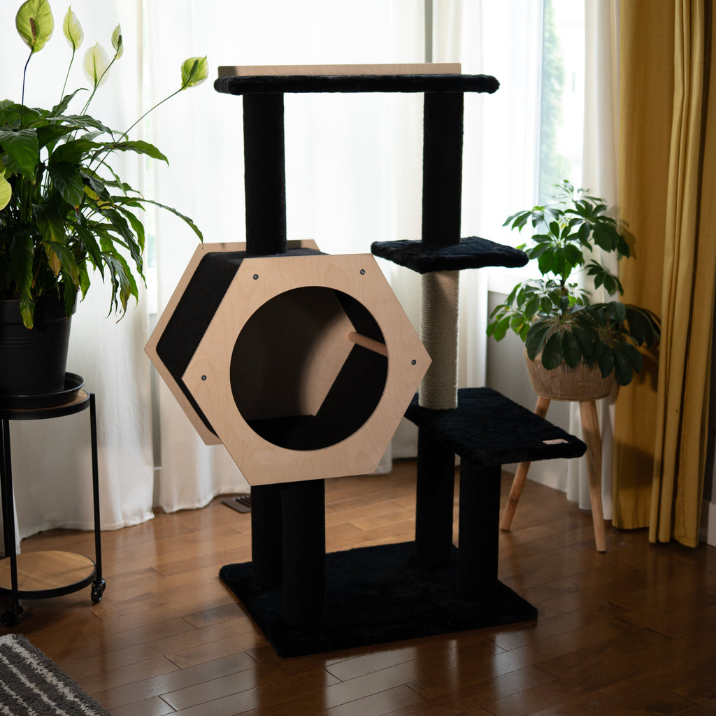 Hexagon House – Arbre à chat à 4 niveaux