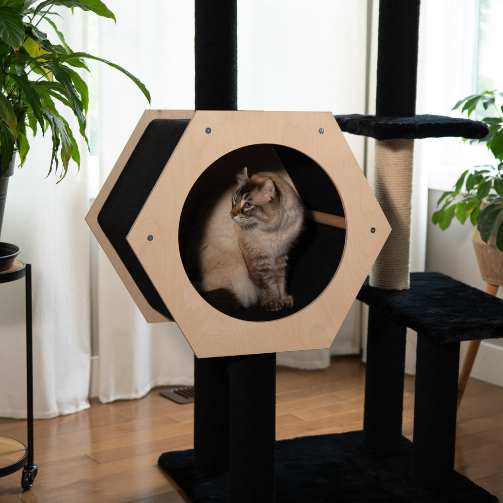 Hexagon House – Arbre à chat à 4 niveaux