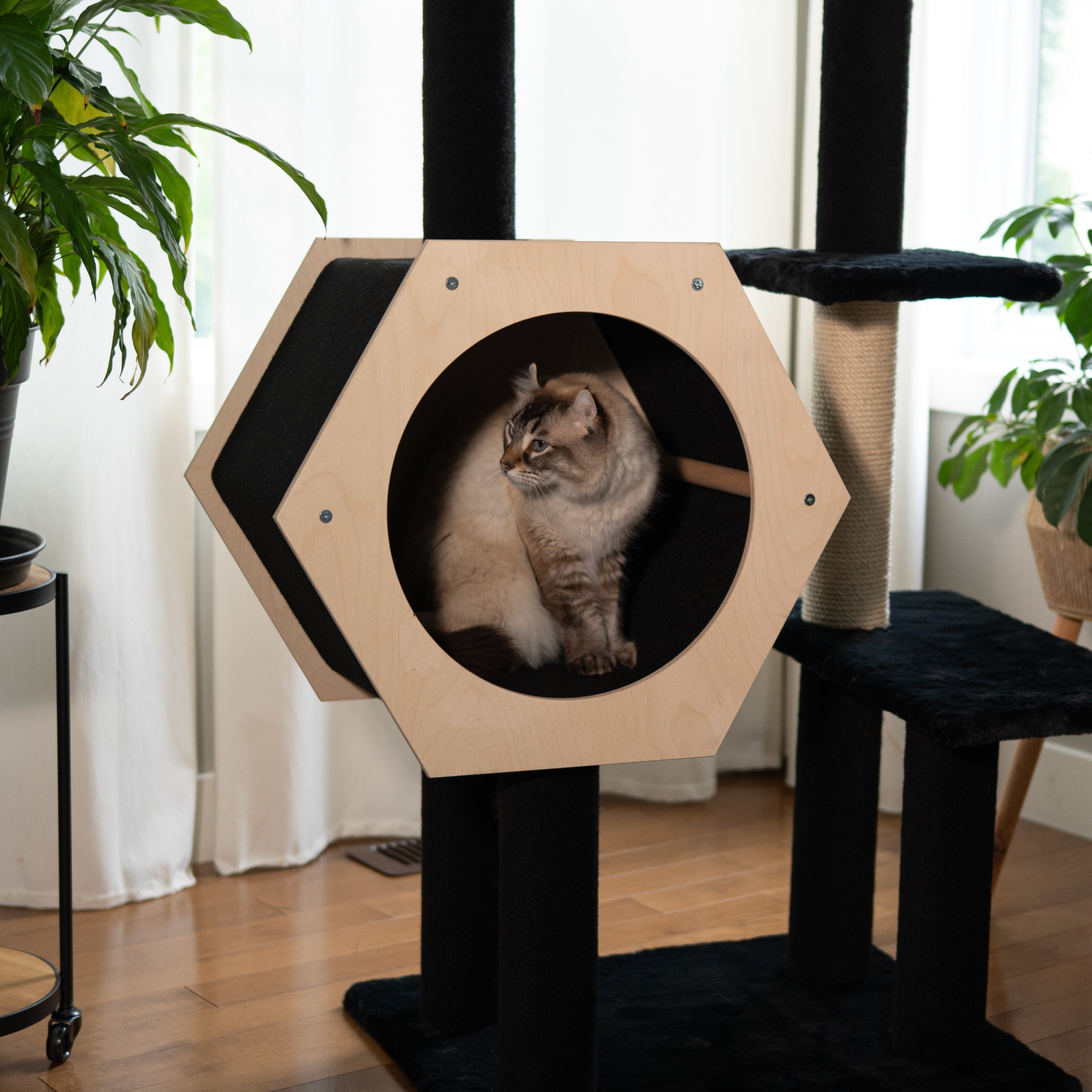 Hexagon House – Arbre à chat à 4 niveaux