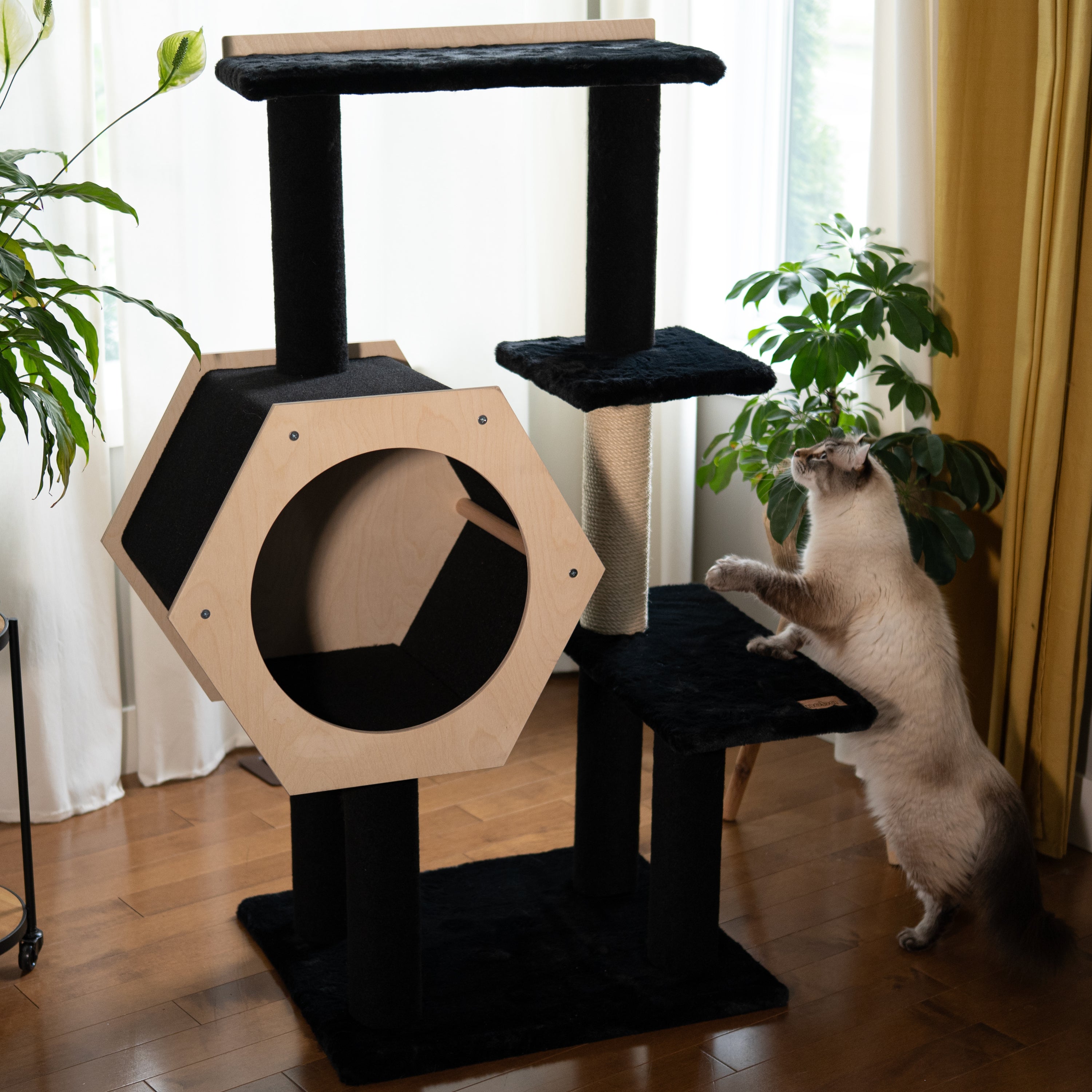 Hexagon House – Arbre à chat à 4 niveaux